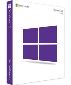 Windows 10 Professional