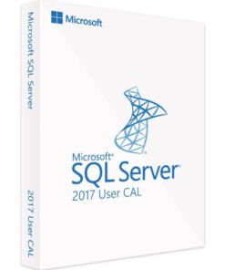 Microsoft SQL Server 2017 Standard - 1 USER CAL