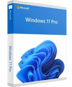 Windows 11 pro