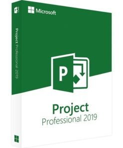 Project 2019 Professional
